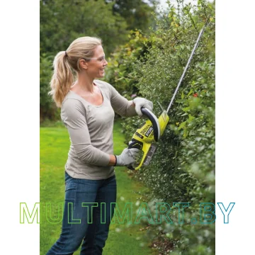Кусторез Ryobi RHT1851R25F картинка 3